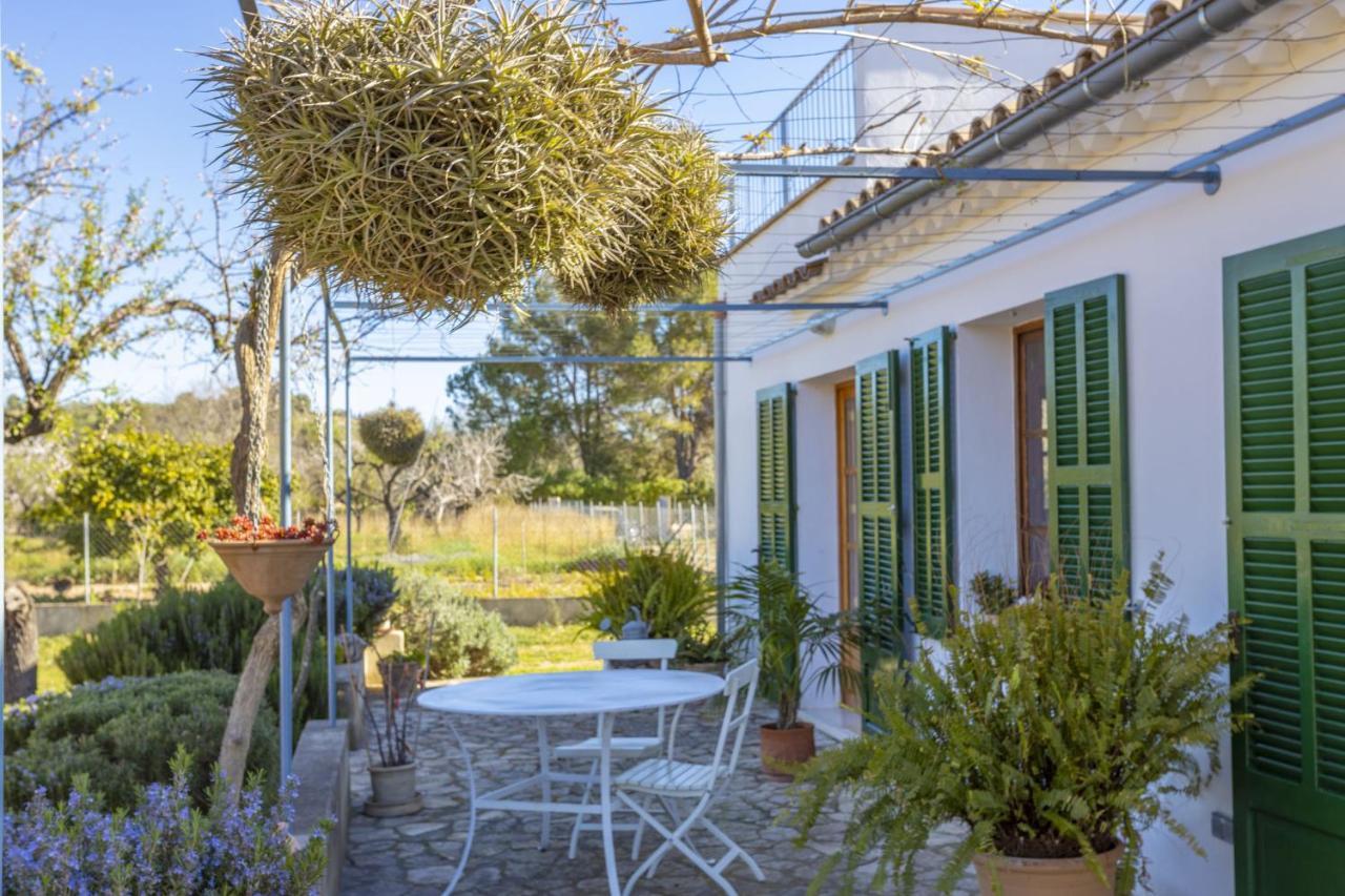 Faustina Only Adults In Selva Landhaus Selva (Mallorca)